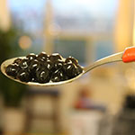 Boba Pearls in Spoon